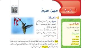 شرح درس الدوال سادس ابتدائي الفصل الدراسي الاول