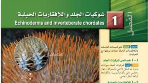 حل الفصل الاول شوكيات الجلد واللافقاريات الحبلية احياء 2-1 مسارات