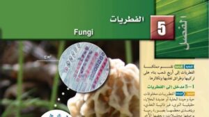 حل الفصل الخامس الفطريات احياء اول ثانوي مسارات