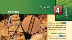 حل الفصل الرابع الثدييات احياء ثاني ثانوي مسارات
