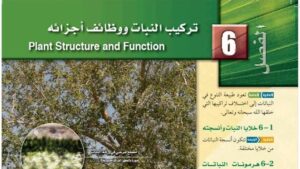حل الفصل السادس تركيب النبات ووظائف اجزائه احياء ثاني ثانوي مسارات