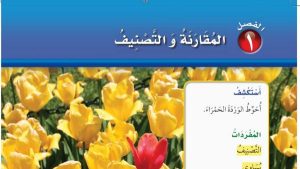 حل الفصل الاول المقارنة والتصنيف رياضيات اول ابتدائي ف1 1447