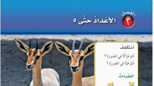 حل الفصل الثاني الاعداد حتى 5 رياضيات اول ابتدائي ف1 1447